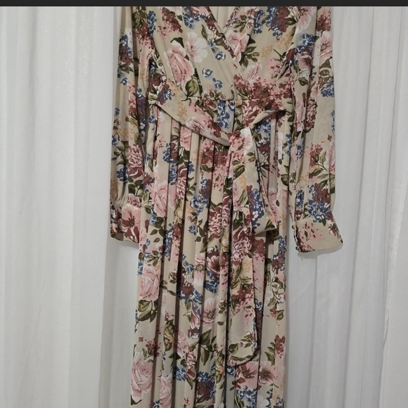 Amazon Floral V-Neck Maxi Dress in Cream and Pink - Picture 2 of 4